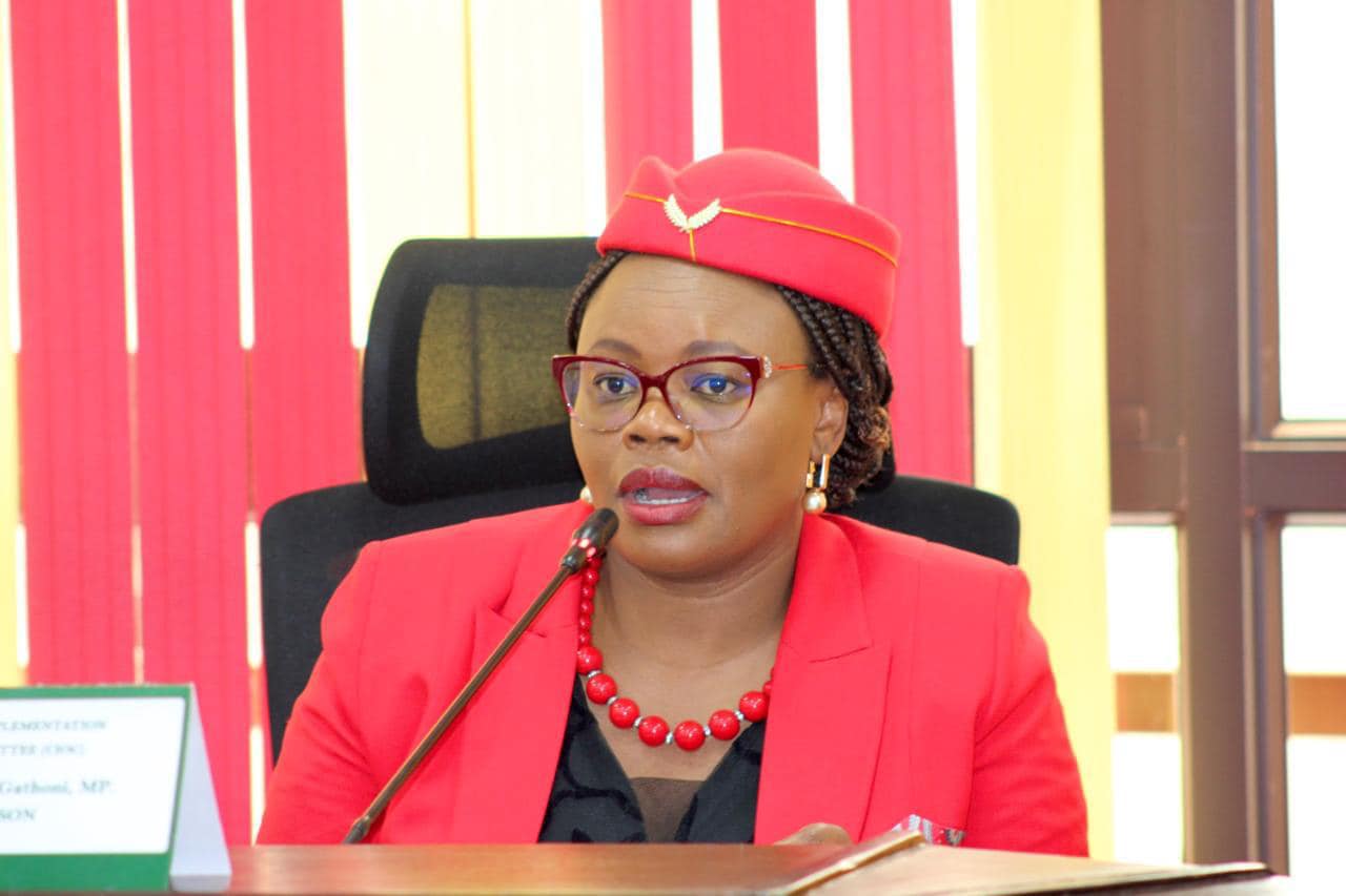Wamuchomba: Why women representatives’ posts should not be scrapped