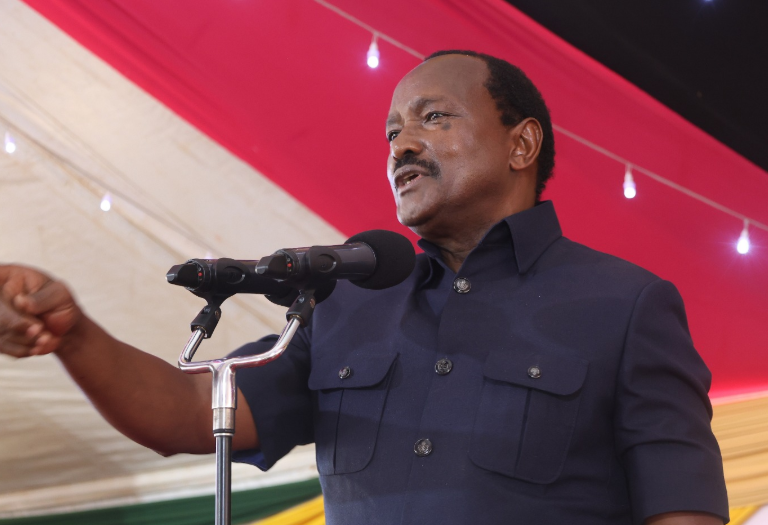 Kalonzo to Ruto: We do not need your IEBC