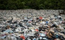 Why waste pickers are essential partners in a circular economy